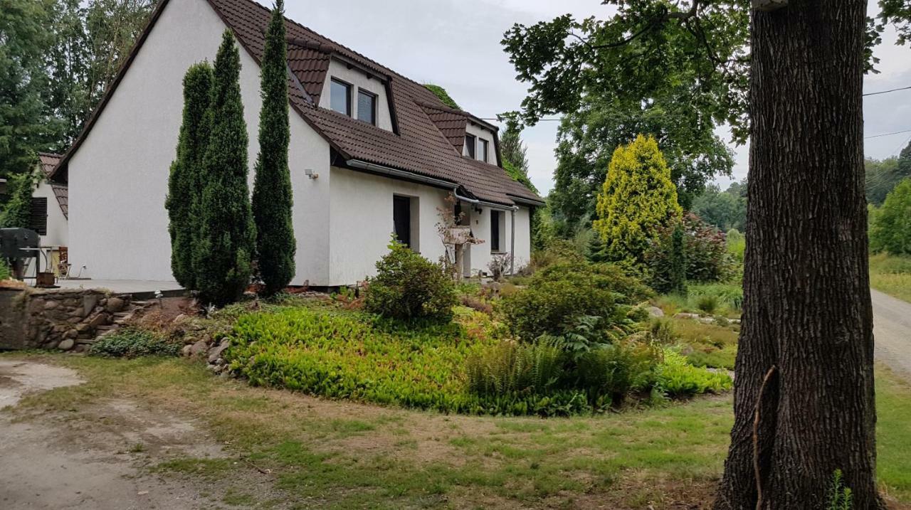 Ferienwohnung "Waldfrieden" Altdobern Exterior photo